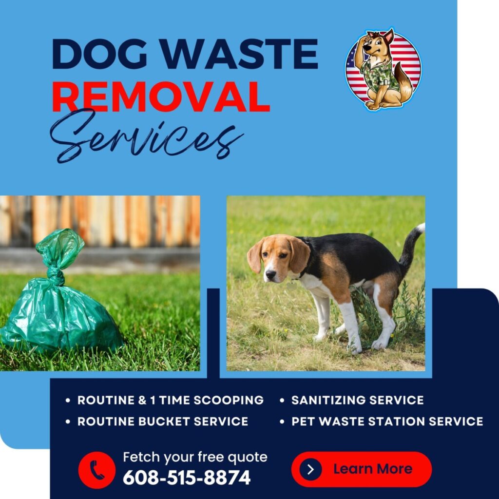 Reporting For Doody reporting-for-doody-poop-free-1024x1024 May's Scoop: Monthly Roundup! Newsletter  wi reporting for doody pooper scooper newsletter madison dog poop 