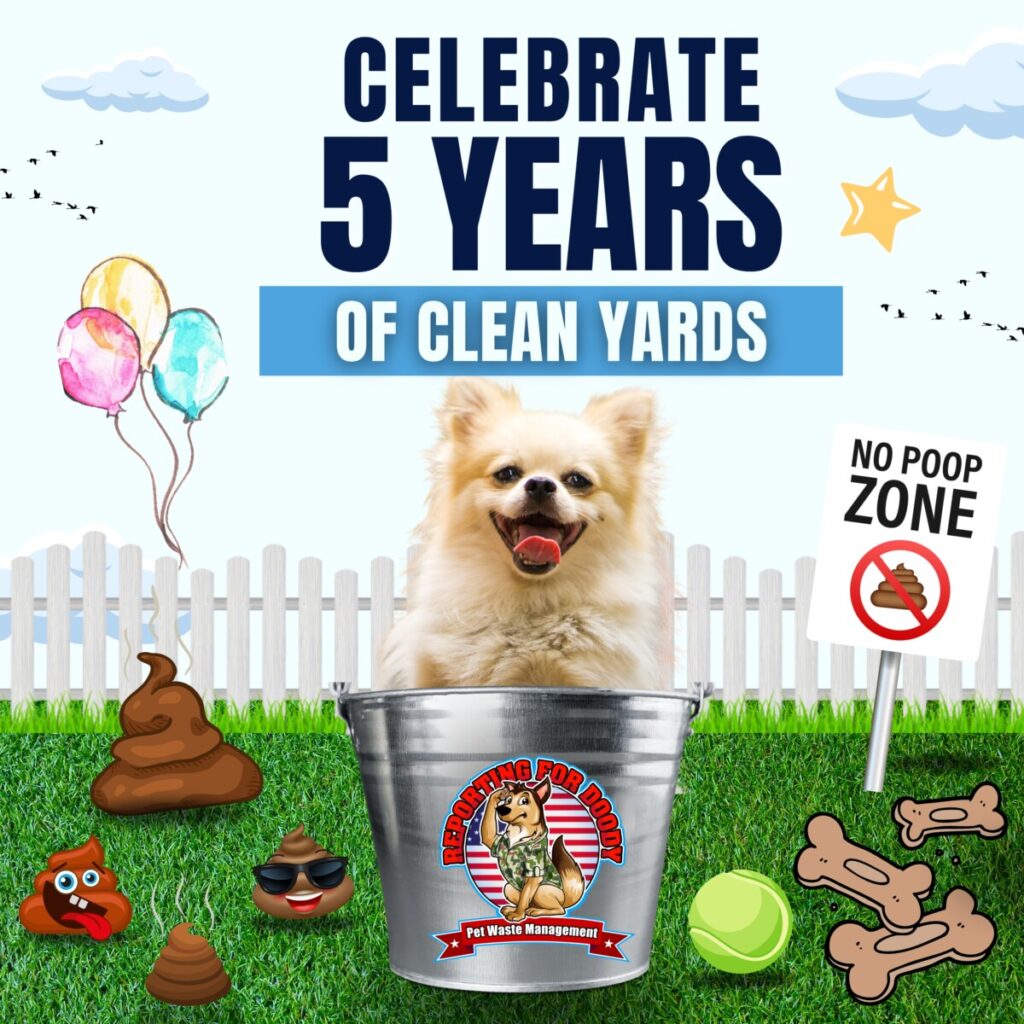 Reporting For Doody 67061d5243fa96594b5a1b9b-1024x1024 🐕💩 November's Scoop: Reporting For Doody’s Monthly Roundup 🐾 Uncategorized