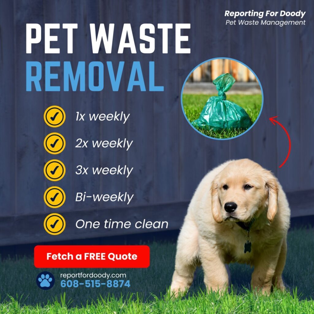 Reporting For Doody 67476680b83c391fe62ef680-1-1024x1024 🐕💩 June’s Scoop: Reporting For Doody’s Monthly Roundup 🐾 Uncategorized yard madisonDog wiDog wi cleanup wi Waste Services dog poop Waste Services reporting for doody pooper scooper Poop Patrol Poop Free Pet Waste Management newsletter madison dog poop Dog Friendly Dog