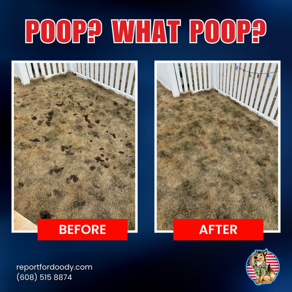 Reporting For Doody 6815308dcfd3474051c3db10-1024x1024 🐕💩 June’s Scoop: Reporting For Doody’s Monthly Roundup 🐾 Uncategorized yard madisonDog wiDog wi cleanup wi Waste Services dog poop Waste Services reporting for doody pooper scooper Poop Patrol Poop Free Pet Waste Management newsletter madison dog poop Dog Friendly Dog