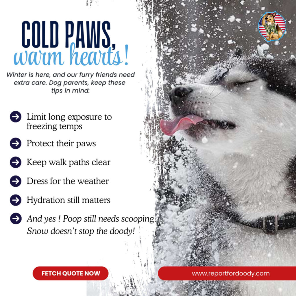 Reporting For Doody DECEMBER-2025-1024x1024 🐕💩 December's Scoop: Reporting For Doody’s Monthly Roundup 🐾 Uncategorized  wi cleanup wi Waste Services dog poop Waste Services reporting for doody pooper scooper Poop Patrol Poop Free Pet Waste Management newsletter madison dog poop Dog Friendly Dog 