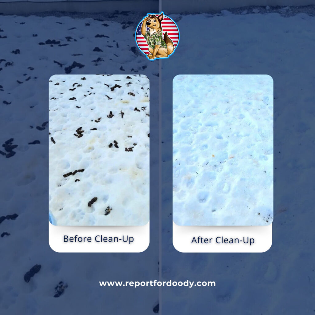 Reporting For Doody DECEMBER-2025-2-2-1024x1024 🐕💩 December's Scoop: Reporting For Doody’s Monthly Roundup 🐾 Uncategorized  wi cleanup wi Waste Services dog poop Waste Services reporting for doody pooper scooper Poop Patrol Poop Free Pet Waste Management newsletter madison dog poop Dog Friendly Dog 