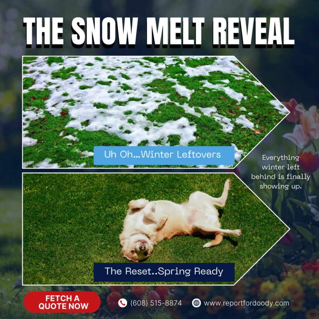 Reporting For Doody SPRING-DAY-REPORTING-FOR-DOODY-1-1024x1024 🐕💩 April's Scoop: Reporting For Doody’s Monthly Roundup 🐾 Uncategorized  Waste Services dog poop Waste Services reporting for doody pooper scooper Poop Patrol Poop Free Pet Waste Management newsletter madison dog poop Dog Friendly Dog 